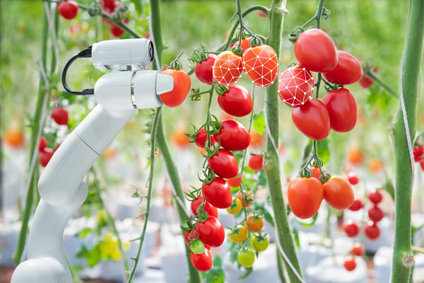 robot microscope with tomatoes - JConnelly Blog - 3 Technologies Poised to Shake up the Food Industry